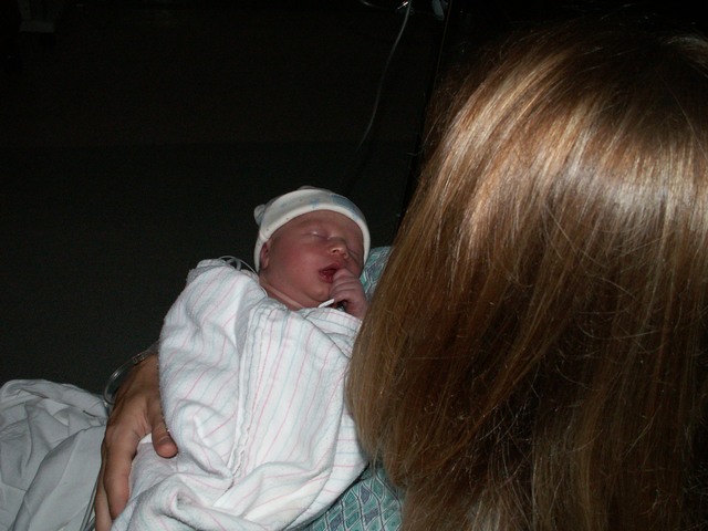 PICT1057.JPG  (68.3 Kb)