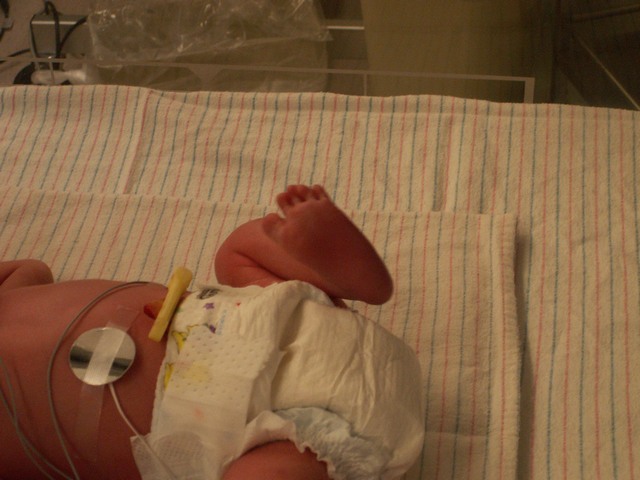 PICT1063.JPG  (67.5 Kb)