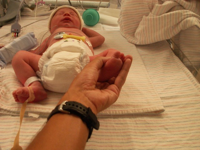 PICT1064.JPG  (74.6 Kb)