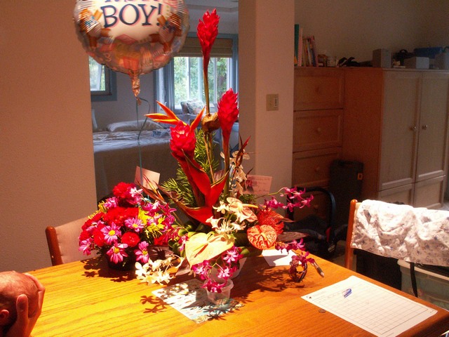 PICT1077.JPG  (102.3 Kb)