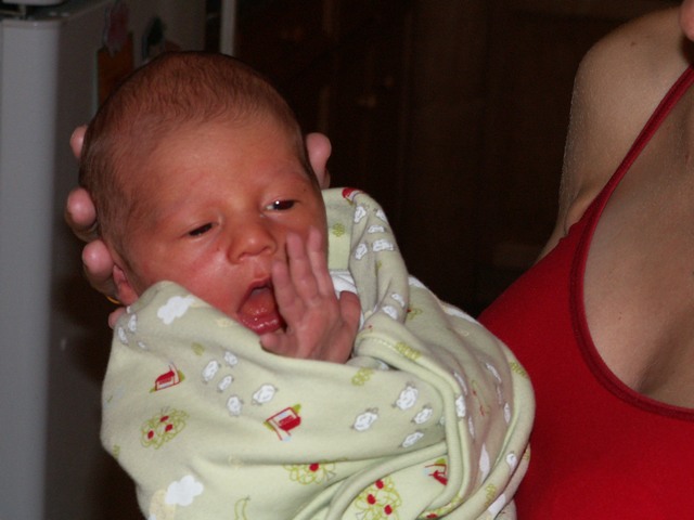 PICT1080.JPG  (55.5 Kb)