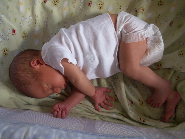 PICT1103.JPG  (75.3 Kb)