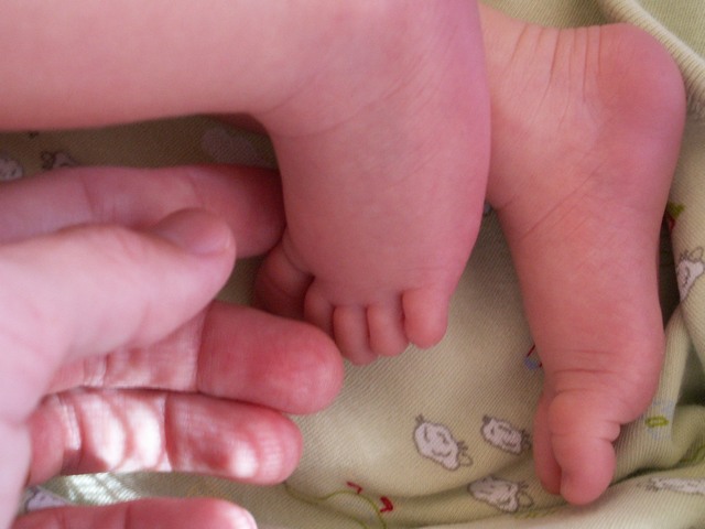 PICT1110.JPG  (54.3 Kb)