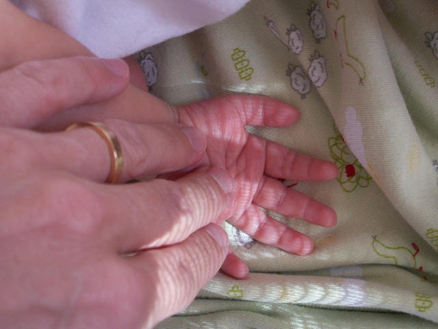 PICT1111.JPG  (65.6 Kb)