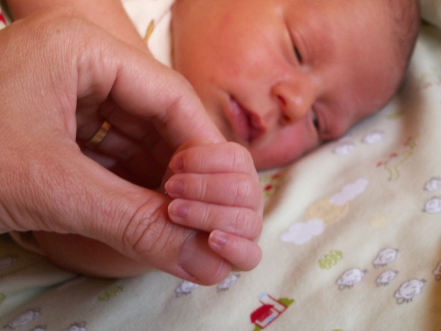 PICT1118.JPG  (50.2 Kb)