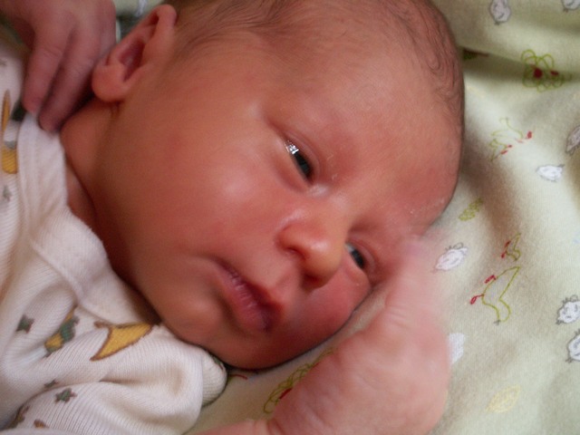 PICT1119.JPG  (58.7 Kb)