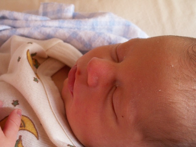 PICT1120.JPG  (59.0 Kb)