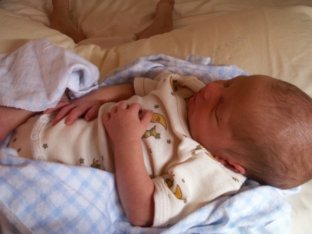 PICT1122.JPG  (65.5 Kb)