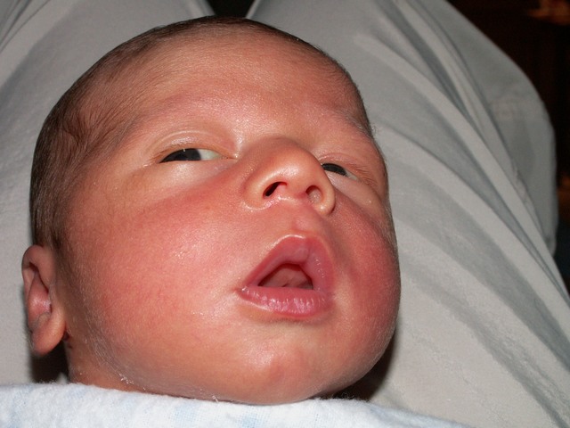 PICT1125.JPG  (67.4 Kb)