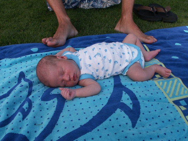 PICT1162.JPG  (102.3 Kb)