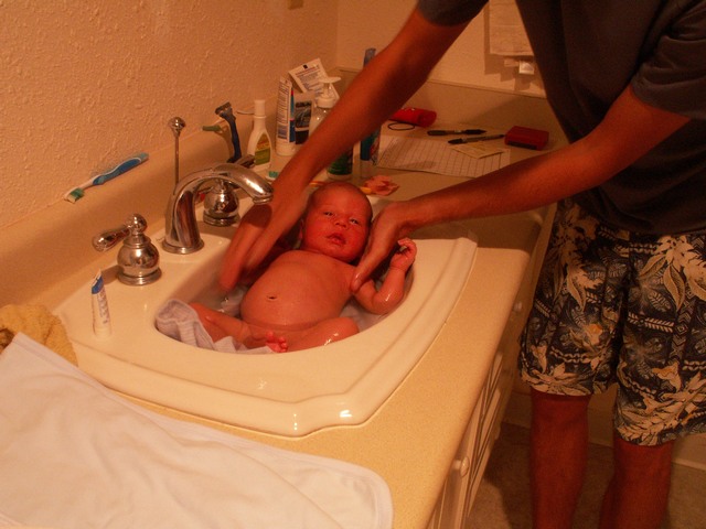 PICT1178.JPG  (73.7 Kb)