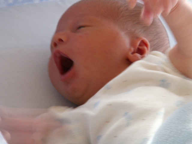 PICT1180.JPG  (41.6 Kb)