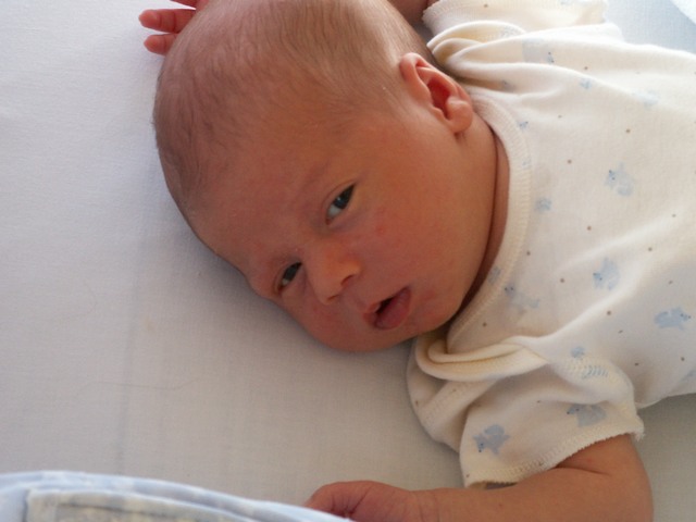 PICT1182.JPG  (47.9 Kb)