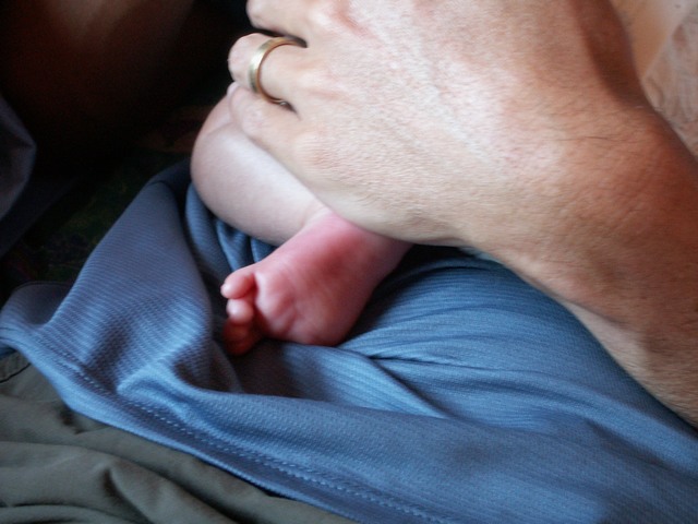 PICT1198.JPG  (67.4 Kb)