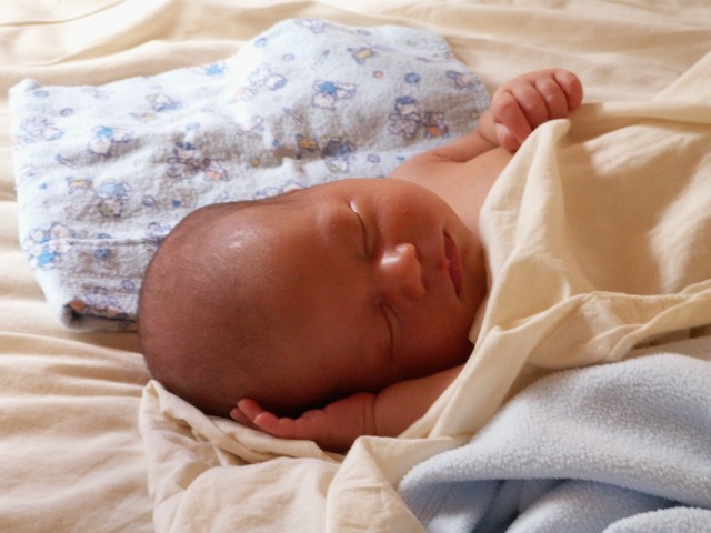 PICT1229.JPG  (65.7 Kb)