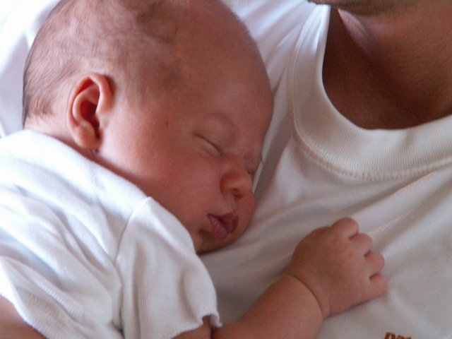 PICT1259.JPG  (56.4 Kb)