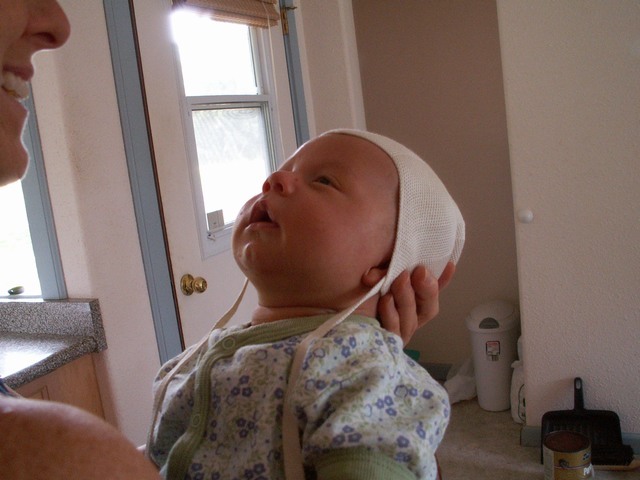 PICT1266.JPG  (64.4 Kb)