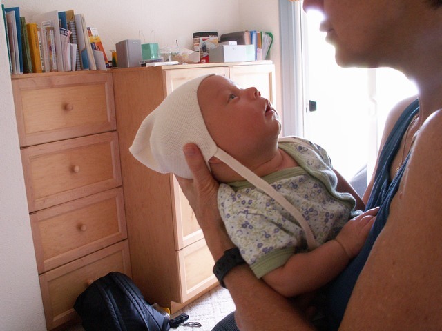 PICT1268.JPG  (71.3 Kb)