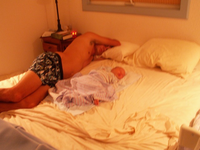 PICT1286.JPG  (58.3 Kb)