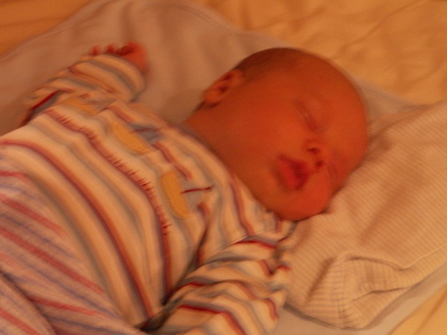 PICT1287.JPG  (54.0 Kb)