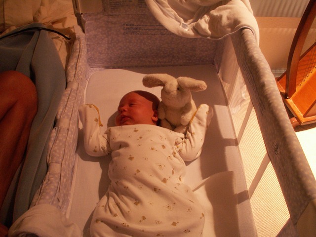 PICT1297.JPG  (75.2 Kb)