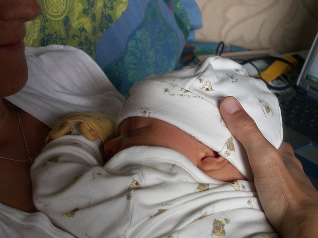 PICT1301.JPG  (65.9 Kb)