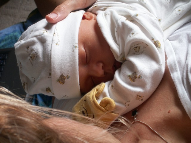 PICT1306.JPG  (74.3 Kb)