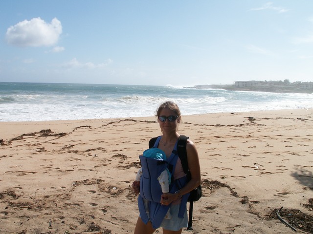 PICT1313.JPG  (79.3 Kb)