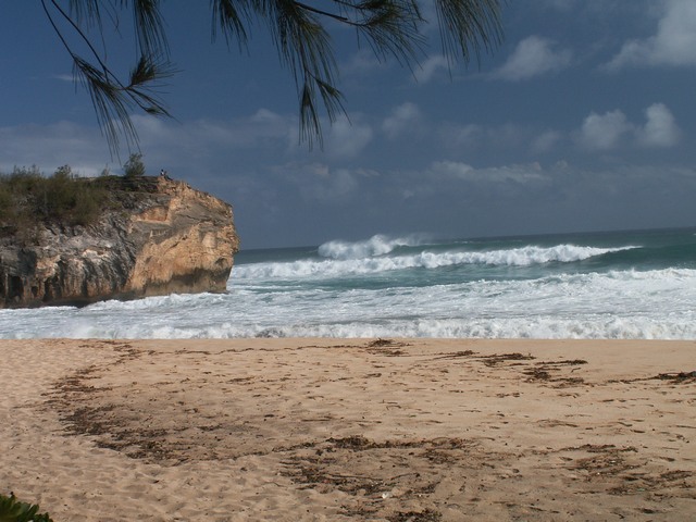 PICT1323.JPG  (88.1 Kb)