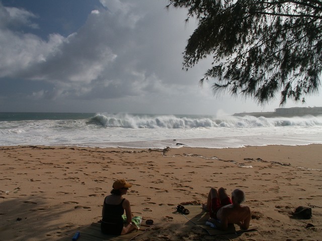 PICT1330.JPG  (87.4 Kb)