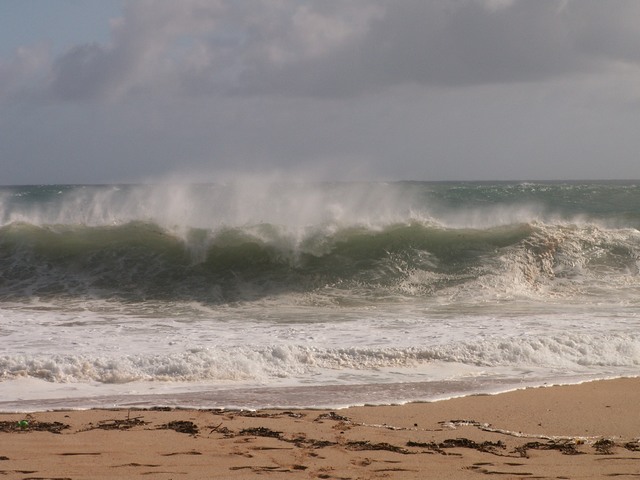 PICT1332.JPG  (66.9 Kb)