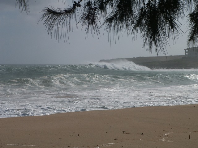 PICT1333.JPG  (83.0 Kb)