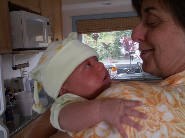 PICT1340.JPG  (68.5 Kb)