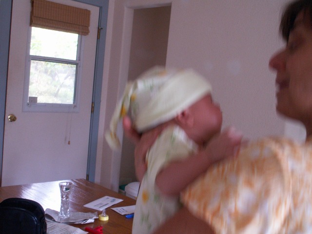 PICT1342.JPG  (54.7 Kb)