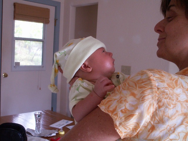 PICT1343.JPG  (67.3 Kb)