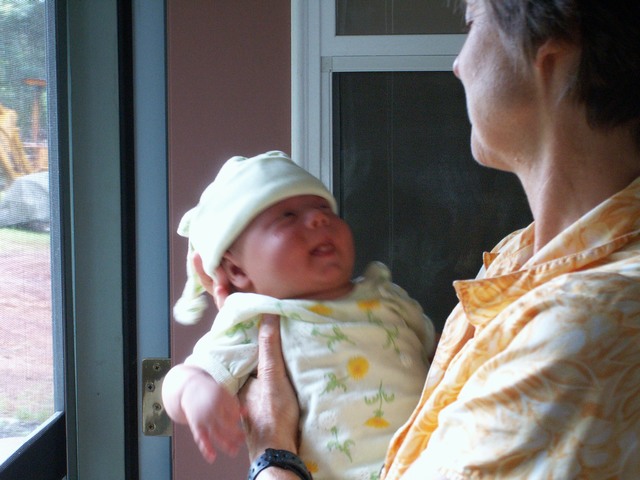 PICT1345.JPG  (71.7 Kb)