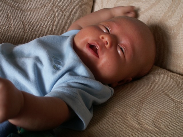 PICT1367.JPG  (78.9 Kb)