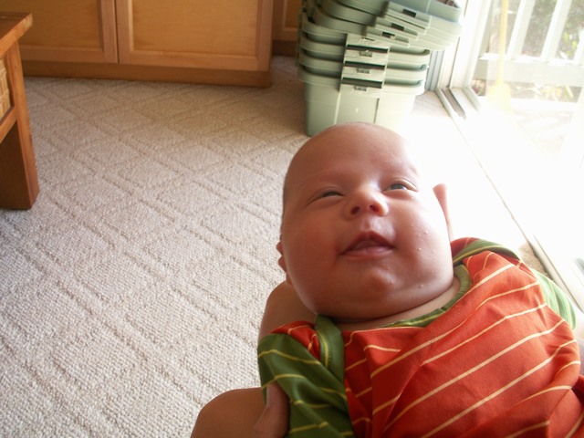 PICT1369.JPG  (81.2 Kb)