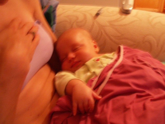 PICT1381.JPG  (58.5 Kb)