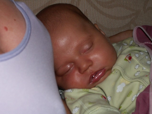 PICT1383.JPG  (54.0 Kb)