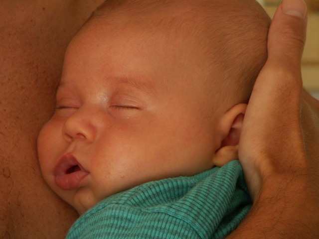 PICT1390.JPG  (56.3 Kb)