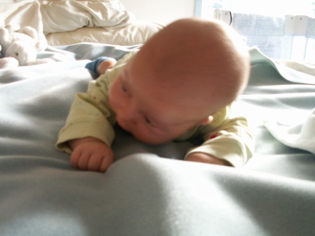 PICT1391.JPG  (50.4 Kb)