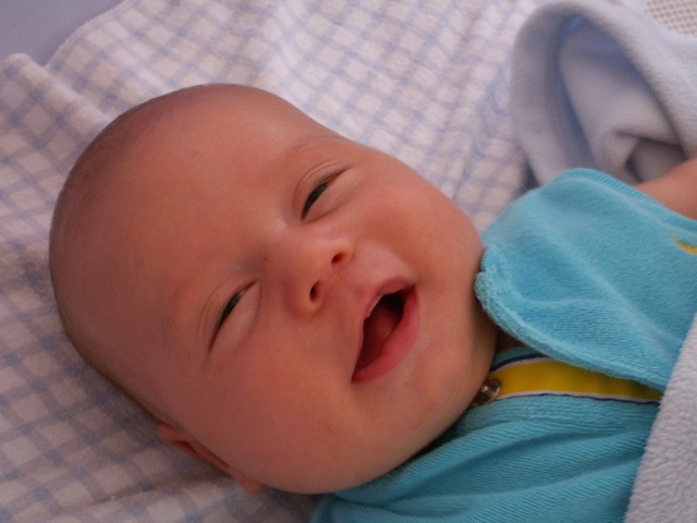 PICT1411.JPG  (56.3 Kb)