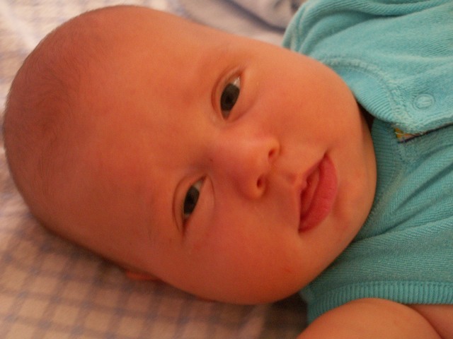 PICT1413.JPG  (55.8 Kb)