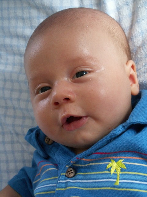 PICT1416.JPG  (76.7 Kb)