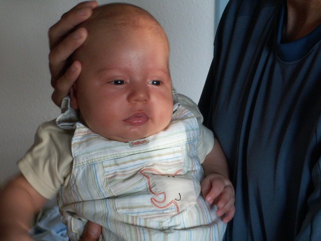 PICT1422.JPG  (66.7 Kb)