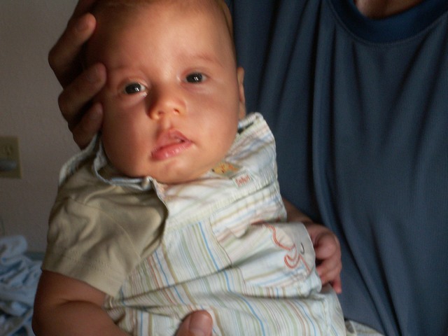 PICT1423.JPG  (59.2 Kb)