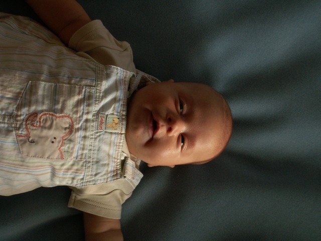 PICT1427.JPG  (62.2 Kb)