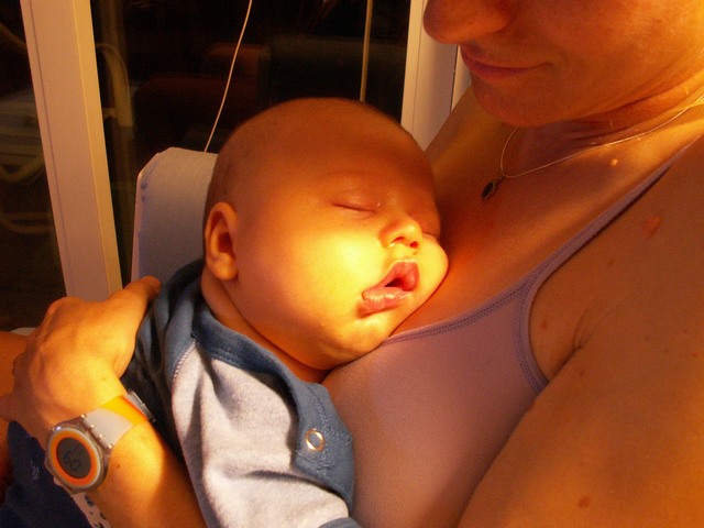 PICT1430.JPG  (66.9 Kb)