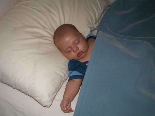 PICT1432.JPG  (52.7 Kb)